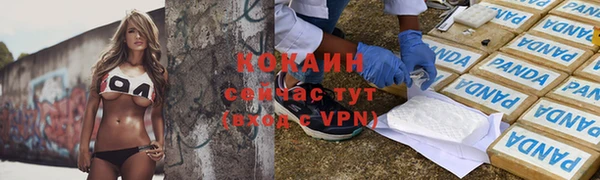 дживик Абинск