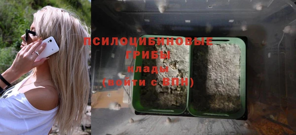 mdpv Михайловск