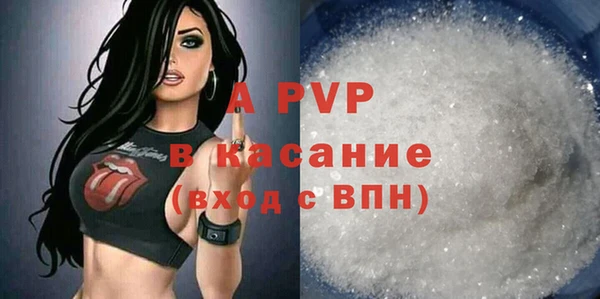 дживик Абинск