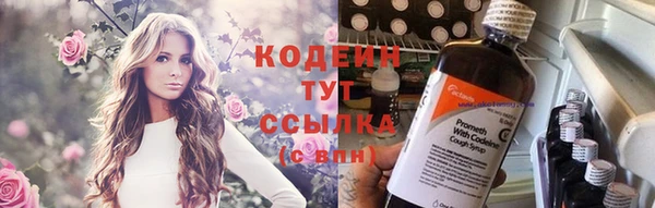 дживик Абинск