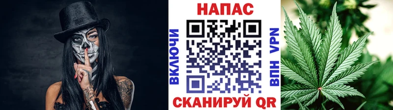 Конопля планчик Урень